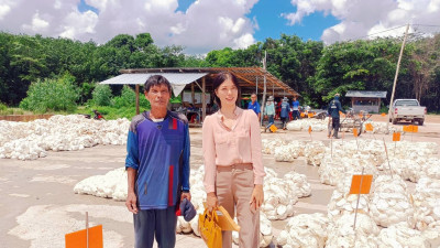 ติดตามการดำเนินงานธุรกิจรวบรวมยางพารากลุ่มเกษตรกรทำสวนยางพารานาเมือง ... พารามิเตอร์รูปภาพ 1